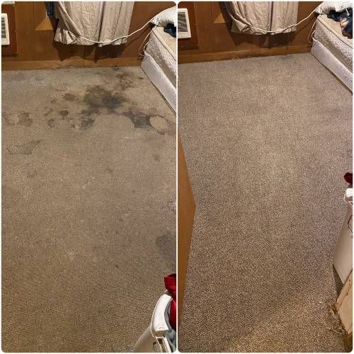 Pet Odor Stain Removal Lincoln CA Results 3