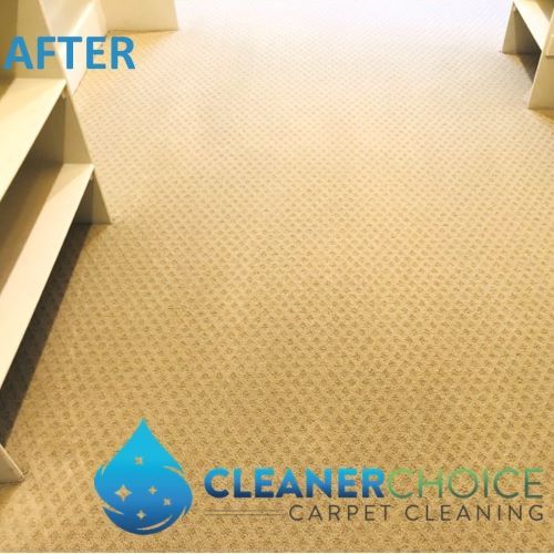 Carpet Cleaning Sacramento Ca Results 5 1