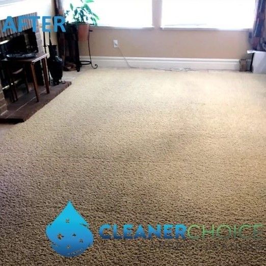 Carpet Cleaning Sacramento Ca Results 7