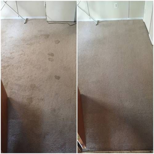 Pet Odor Stain Removal North Highlands CA Results 2