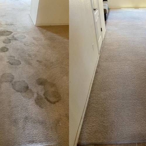 Pet Odor Stain Removal Lincoln CA Results 1